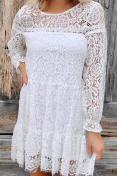 Sweet Elegant Solid Lace Patchwork O Neck Princess Dresses